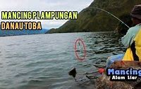 Demo Judi Mancing Di Danau Toba Hari Ini